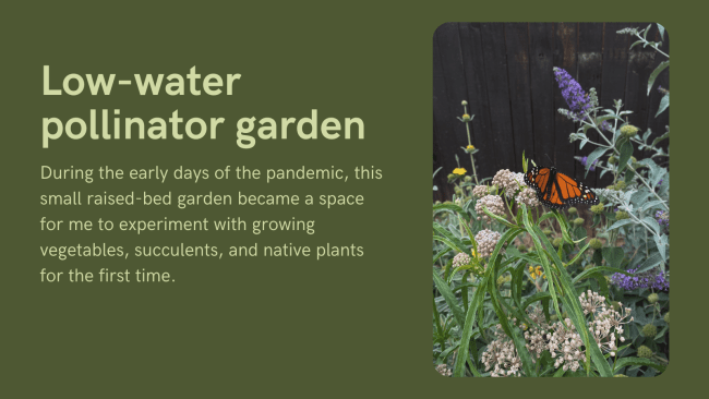 A graphic with a photo of a monarch butterfly resting on milkweed and the title of the post